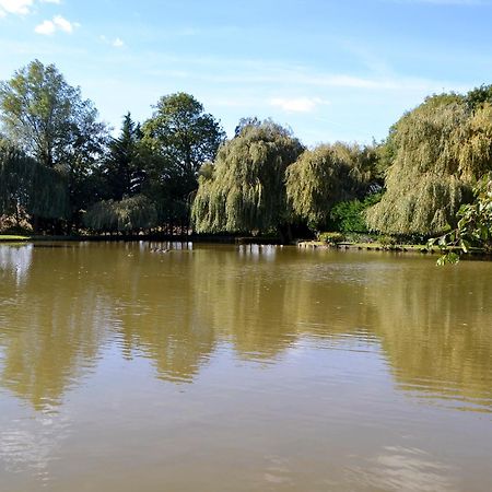 Lake House Cottage Finchingfield 外观 照片