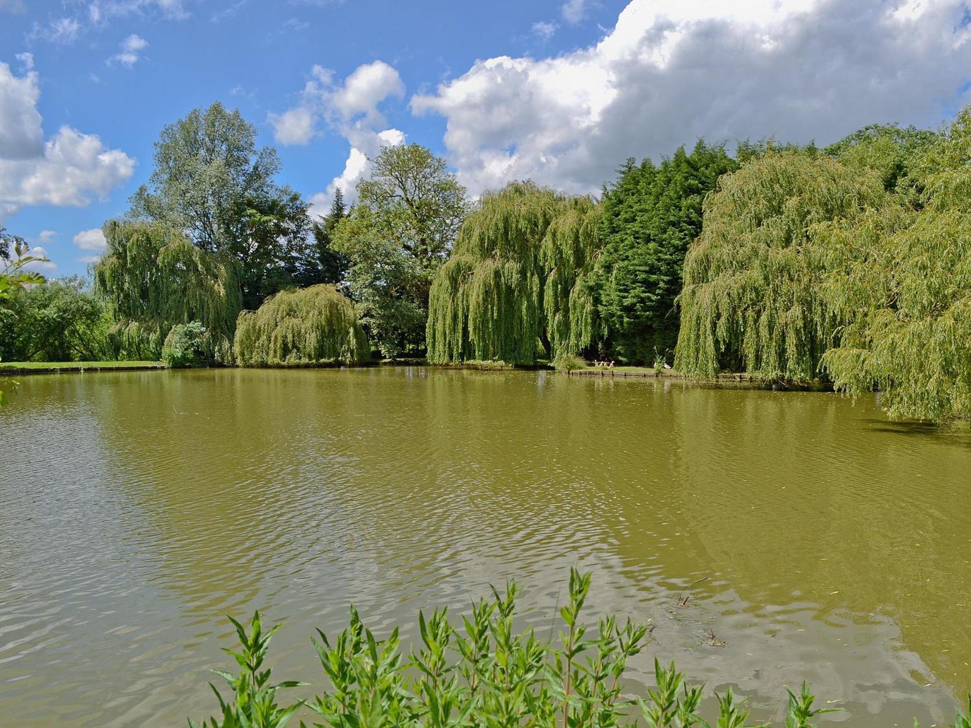 Lake House Cottage Finchingfield 外观 照片